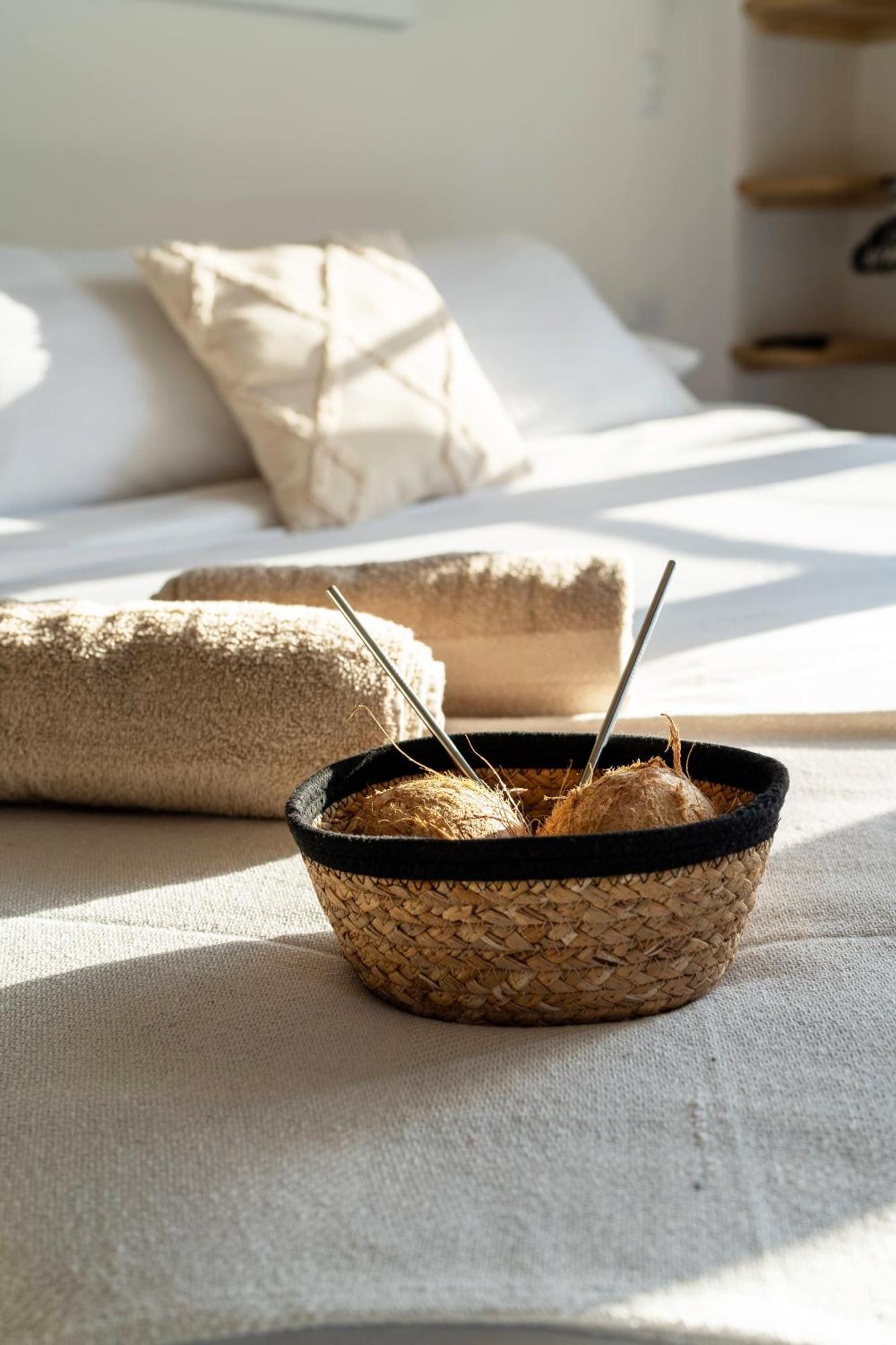 Alma Tropical - Luxury Villa Experience In Santa Teresa Playa Santa Teresa  Exteriér fotografie